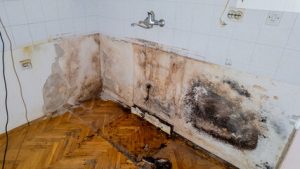 water damage restoration