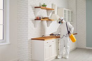 pest control